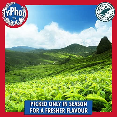 Typhoo Tea Bags | English Breakfast for Large Households & Catering | Pack of 8 x 240 Teabags
