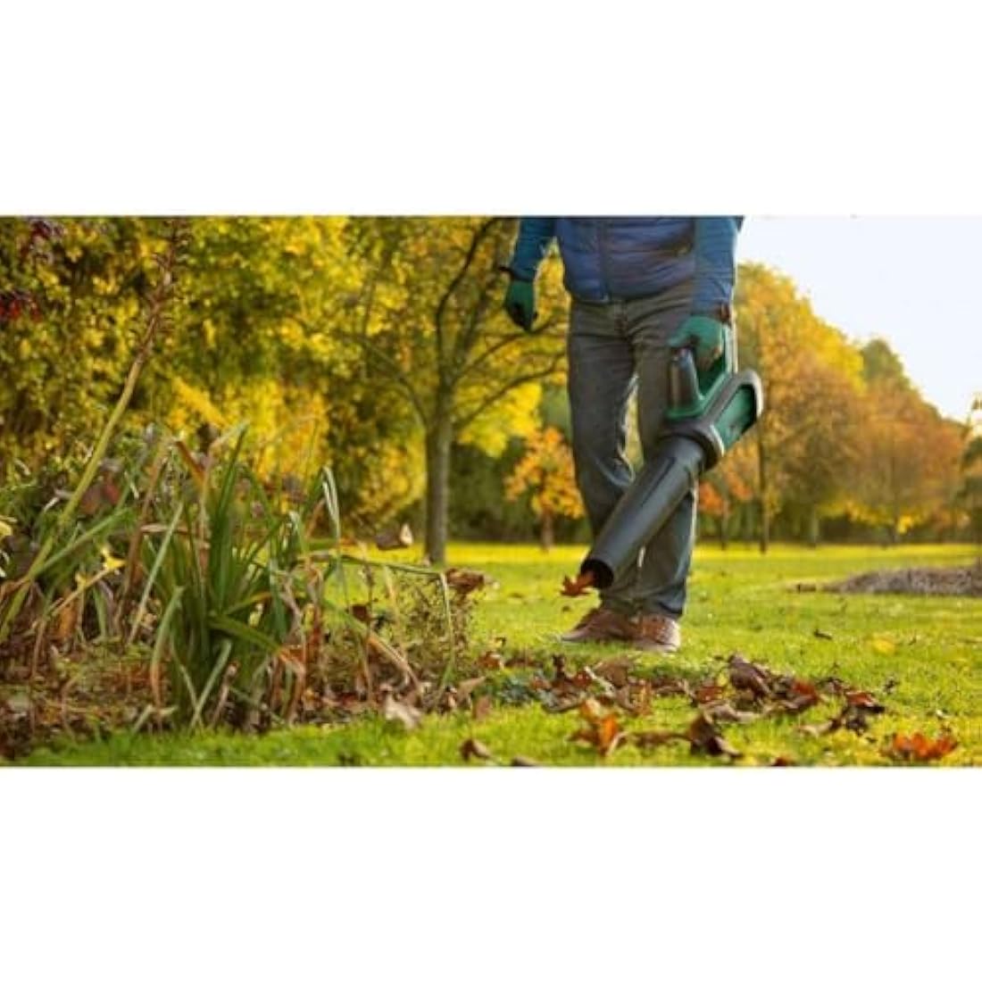 Bosch Cordless Leaf Blower AdvancedLeafBlower 36V-750 (Without Battery, 36 Volt System, for Clearing Stubborn Leaves and Large Areas, Lightweight: 2.8 kg, in Carton Packaging)