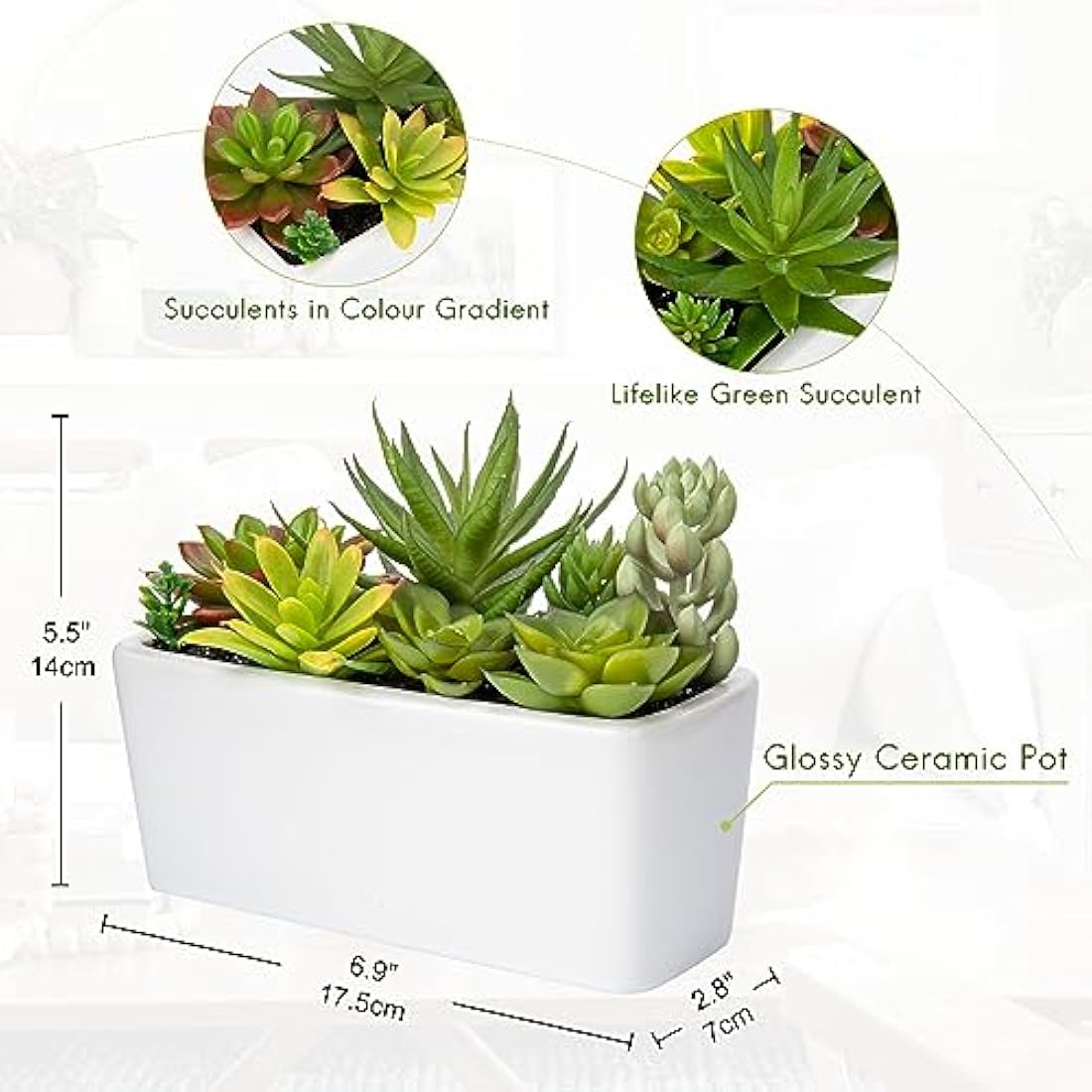 Briful Artificial Succulent Plants Faux Succulents in White Ceramic Pot, Fake Plants Artificial Succulents Potting Mix Artificial Plants in Pot for Office Home Bathroom Shelf Decor
