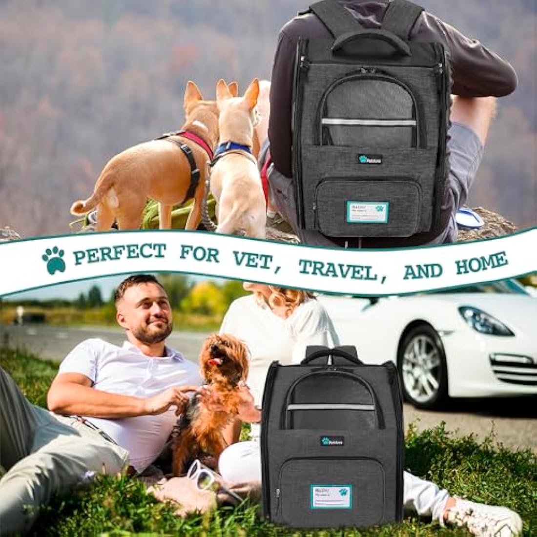PetAmi Dog Backpack Carrier for Small Large Cat, Pet, Puppies, Ventilated Pet Hiking Backpack Travel Bag, Airline Approved Cat Backpack Carrier, Safety Back Support, Camping Biking Dog Bag, Charcoal