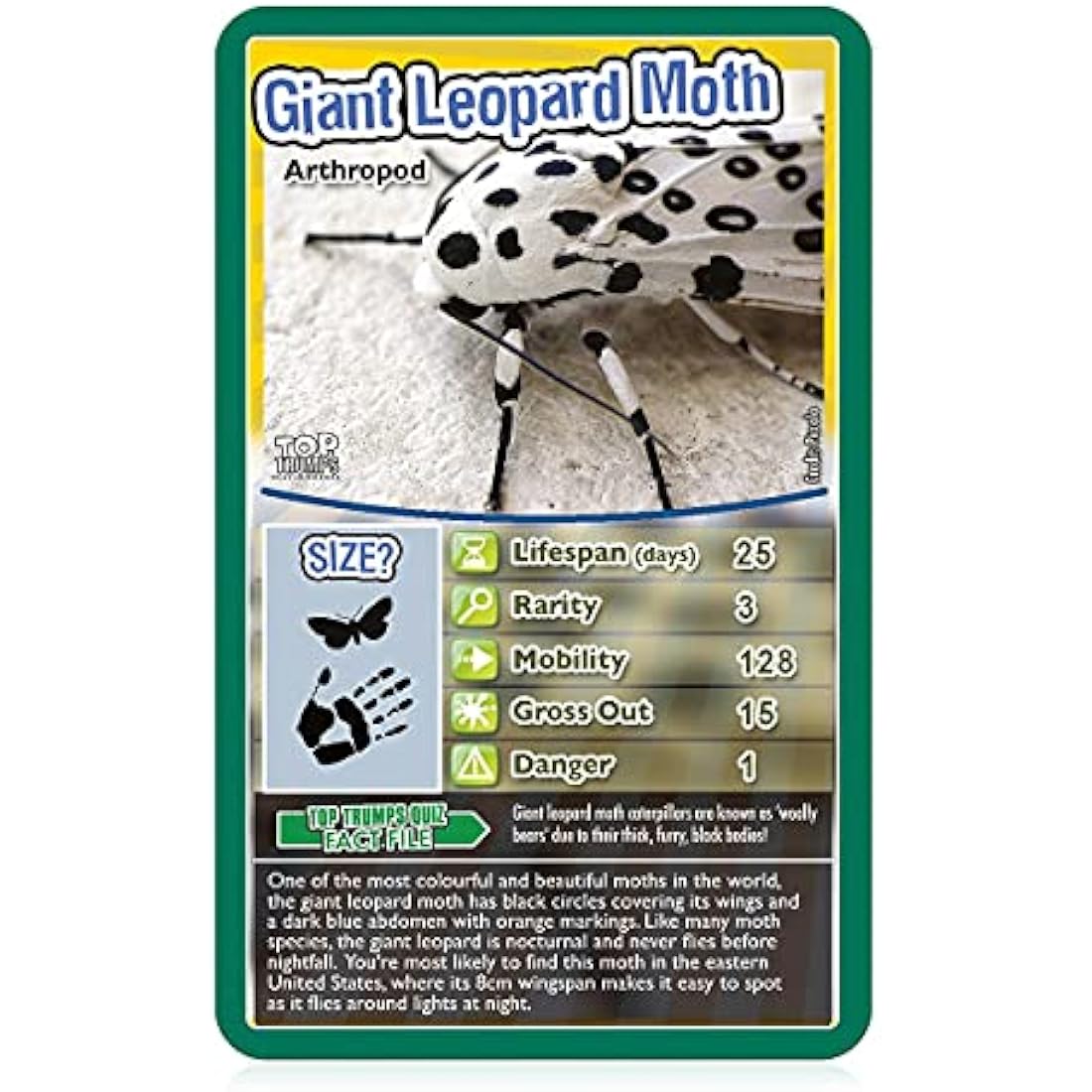 Top Trumps Bugs Classic Card Game, learn facts about the Black Widow, furry Tarantula, Praying Mantis and the Ladybird in this educational packed game, gift and toy for boys and girls aged 6 plus