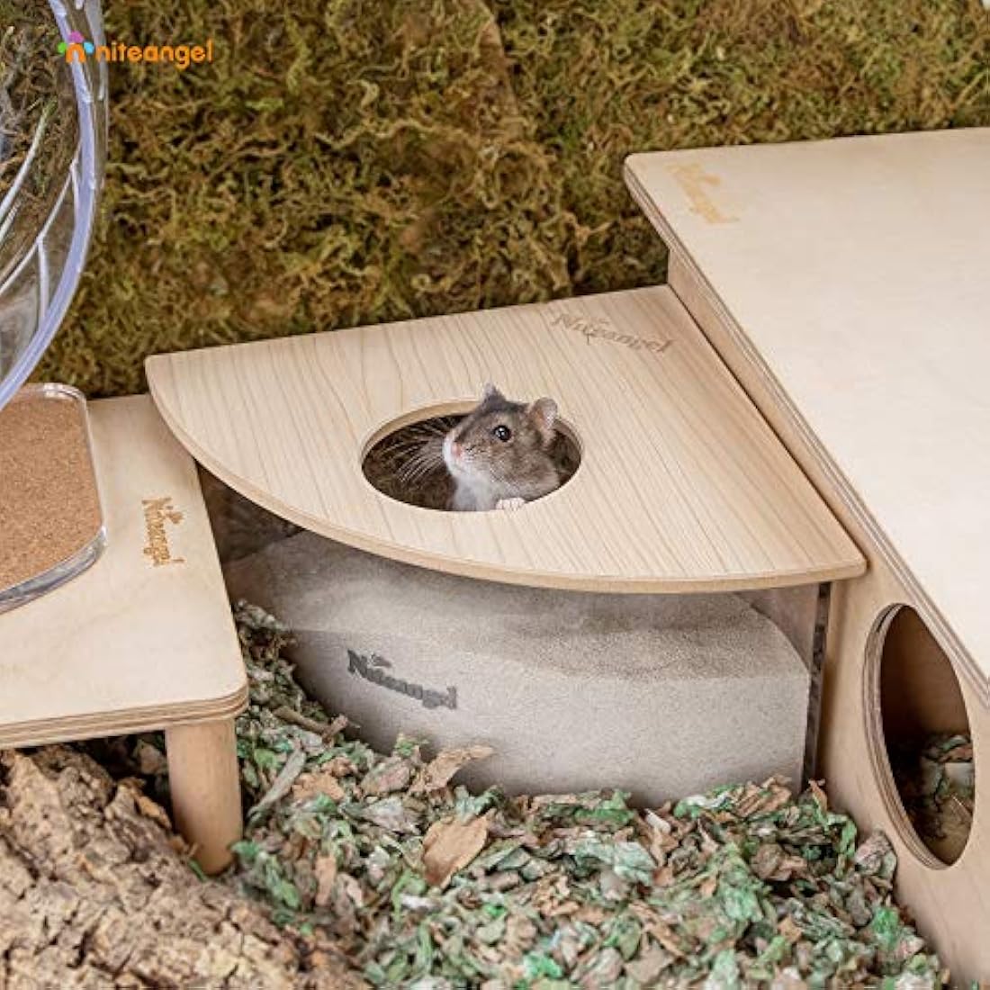 Niteangel Small Animal Sand-Bath Box - Acrylic Critter's Sand Bath Shower Room & Digging Sand Container for Hamsters Mice Lemming Gerbils or Other Small Pets