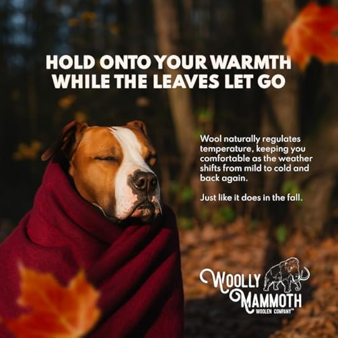 Woolly Mammoth Merino Wool Blanket - Large 66" x 90", 4LBS Camp Blanket | Throw for The Cabin, Cold Weather, Emergency, Dog Camping Gear, Hiking, Survival, Army, Outside, Outdoors – Burgundy