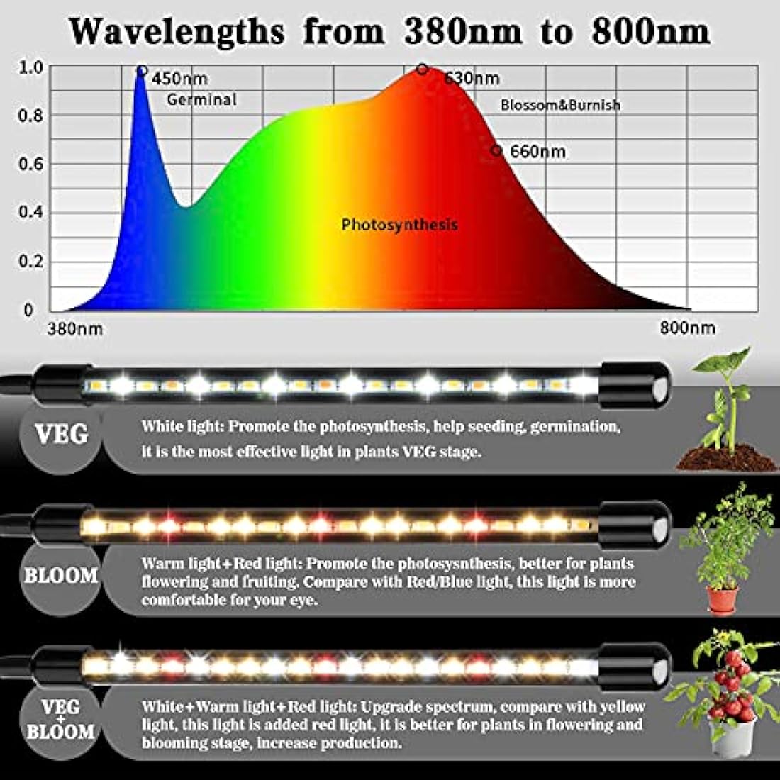 Garpsen Grow Lights for Indoor Plants, 80 LEDs Full Spectrum Led Plant Grow Light, 10 Dimming Level & 4 Heads Grow Lamp with Timer 360°Adjustable Gooseneck for Seedlings and Succulents