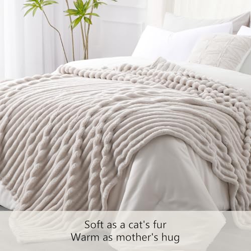 RUIKASI Fleece Throw Blanket for Sofa - Queen Size Fluffy Beige Throws for Sofas Extra Large, Soft Warm Blanket Throw for Couch, Luxury Decorative