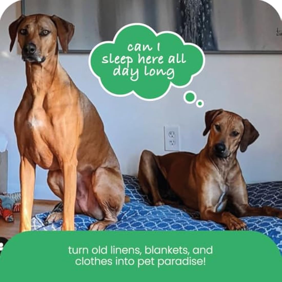 Molly Mutt Small Dog Bed Cover - Romeo & Juliet Print - Measures 22”x27”x5’’ - 100% Cotton - Durable - Breathable - Sustainable - Machine Washable Dog Bed Cover