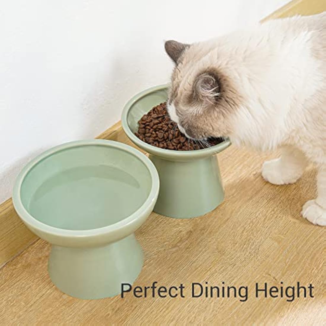 CEEFU 2 Extra Wide Elevated Cat Food Bowl, Ceramic Cat Bowls for Food and Water, Wide Shallow Cat Food Dish, Whisker Fatigue, Lead & Cadmium Free, Great Height for Cat, Sage Green