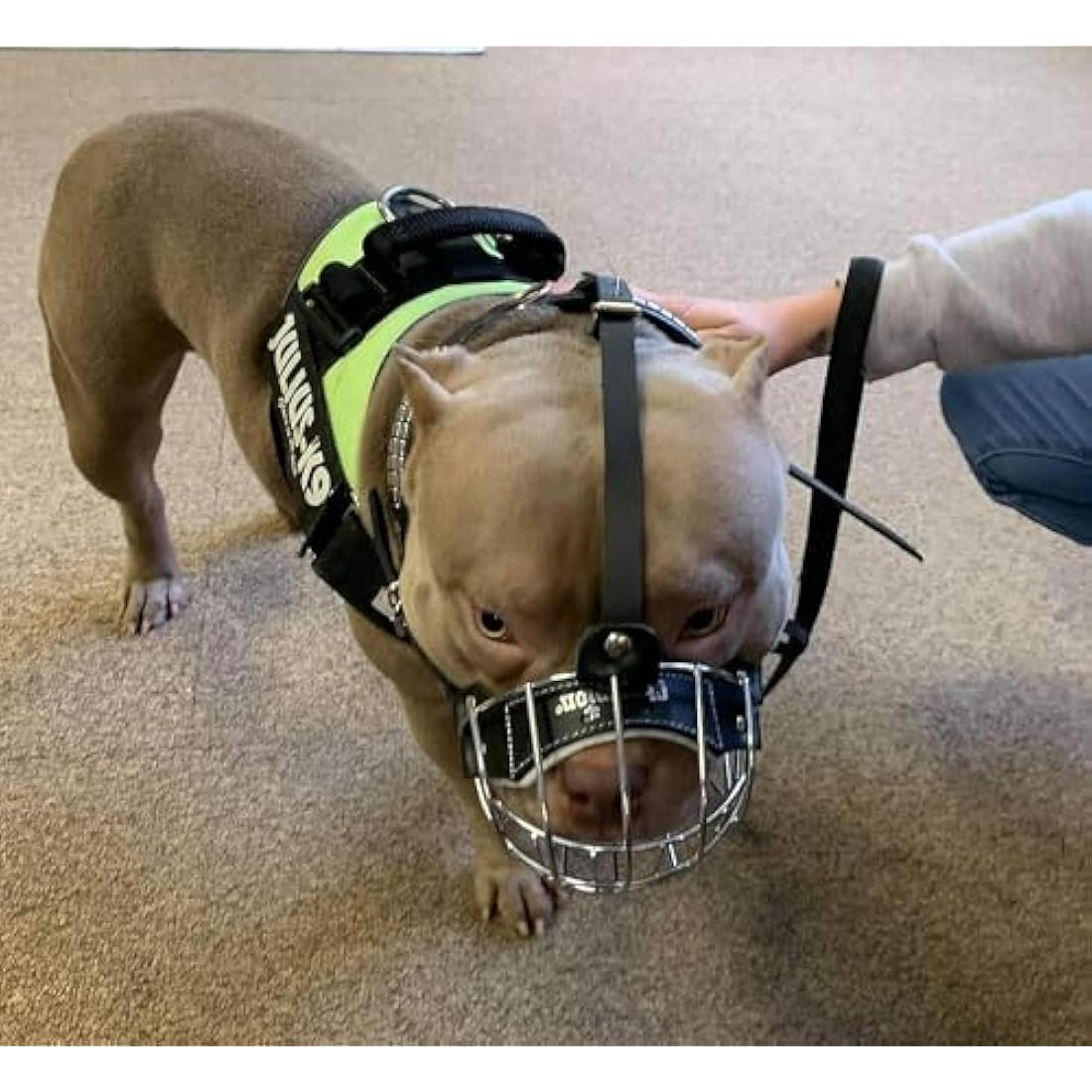 Strong Metal Wire Basket Dog Muzzle for American Bully (BA, Black leather/Black wire)