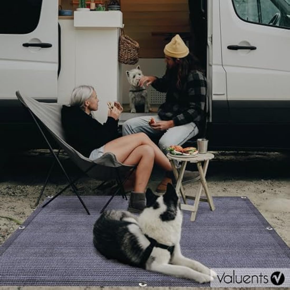 valuents Awning Carpet – Blue/Grey – Various Sizes – Camping Rug Outdoor – Tent Carpet Caravan / Motorhome with Carry Bag + Plus: Washing Line & 8 T-Pegs