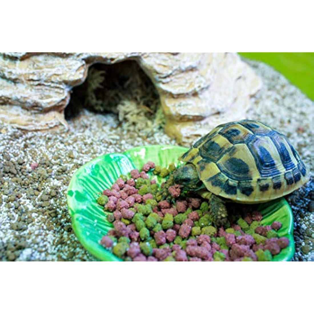 Komodo Complete Holistic Tortoise Diet Fruit and Flower 2 kg tub