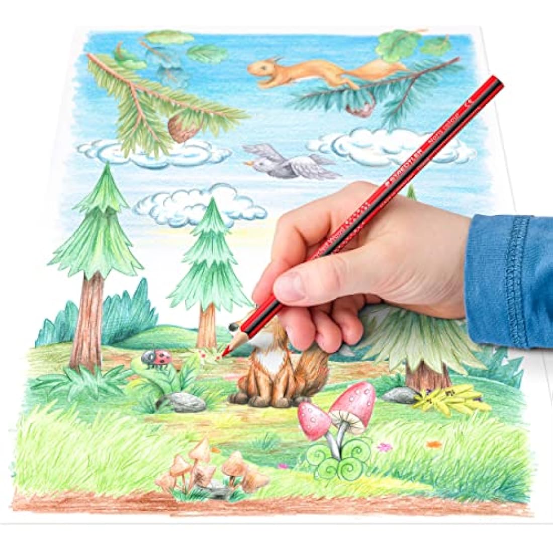 Staedtler Noris Colour Colouring Pencils, Ergonomic Triangular Format, Non-Slip Soft Surface, High Break Resistance, WOPEX Material, 144 Colouring Pencils in 12 Colours and 3 Sharpeners, 187 C144
