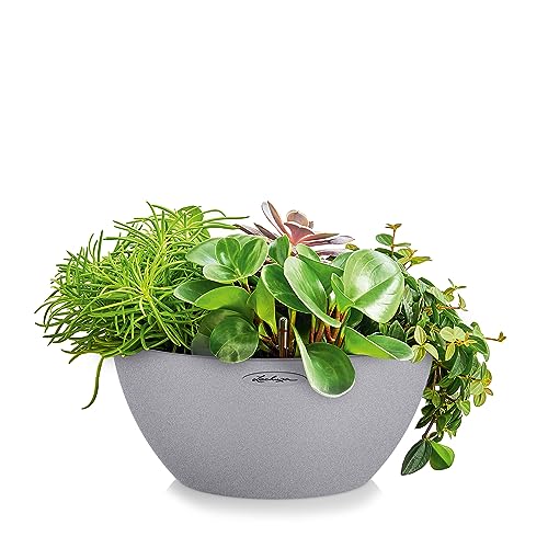 Lechuza Self Watering Plant Pot CUBETO Stone 40 Garden Flower Indoor and Outdoor Plastic Planter with Drainage Hole D40 H18 cm Stone Grey