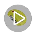 Zero In Flea Killer Comb. Poison-Free, Electric Flea and Tick Comb Treatment for Use on Cats, Dogs and Pets with Fur