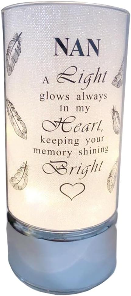 David Fischhoff Family Members Light Up Memorial Light Tube Sparkly Shimmering Indoor Decoration Nan