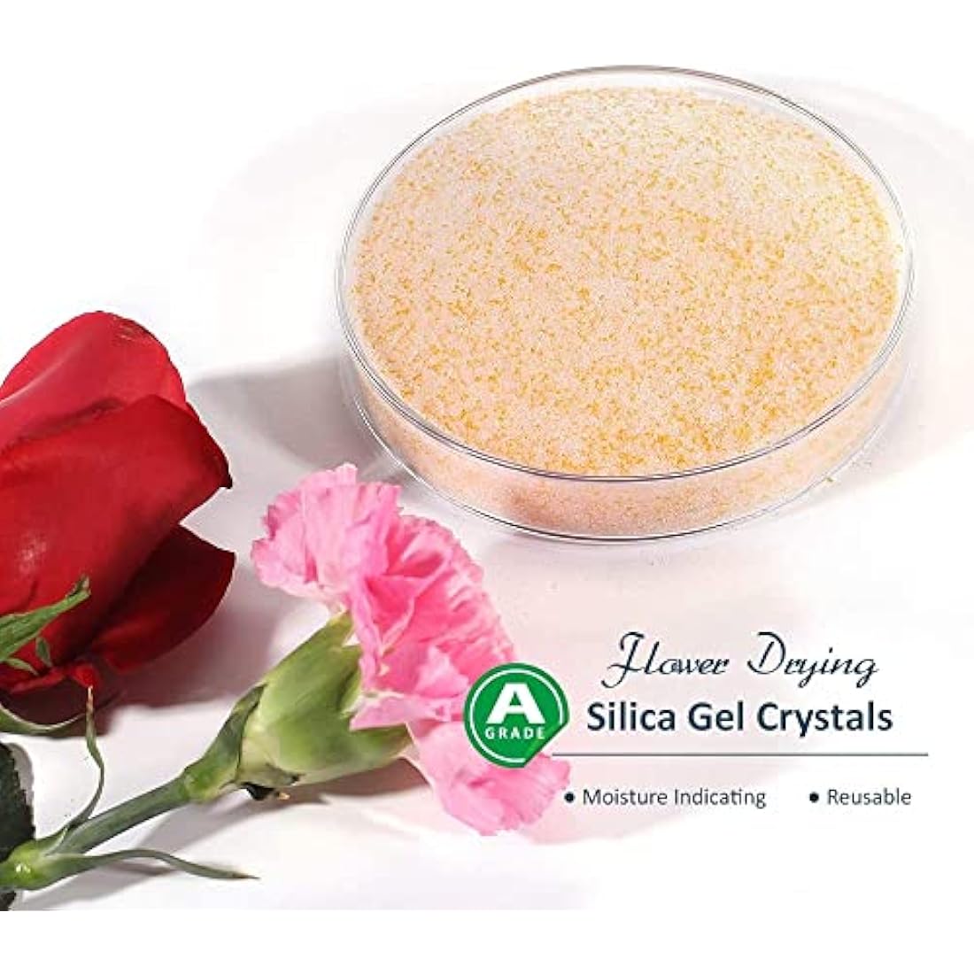 wisedry 10 LBS Silica Gel Flower Drying Crystals, 2 Packs of 5 LBS, Color Indicating, Reusable