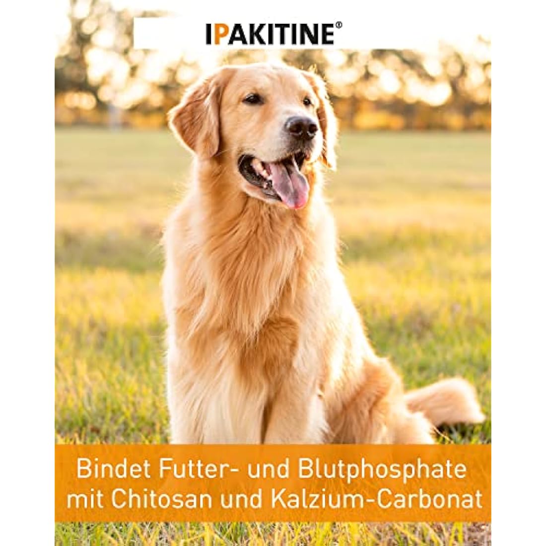 Vetoquinol Ipakitine Phosphate Reducer Aiding Kidney Function (Size: 180g Pot)