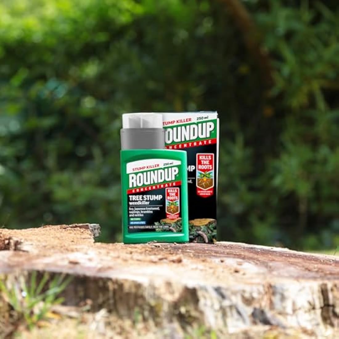 Roundup Tree Stump Weedkiller, Super Concentrate 250 ml