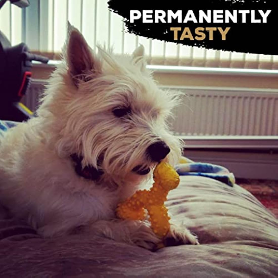 TastyBone TrioBone Nylon Dog Chew Toy for Small Dogs (Chicken) - Indestructible for Aggressive Chewers, Everlasting Flavour, Strong Healthy Teeth, Made in the UK