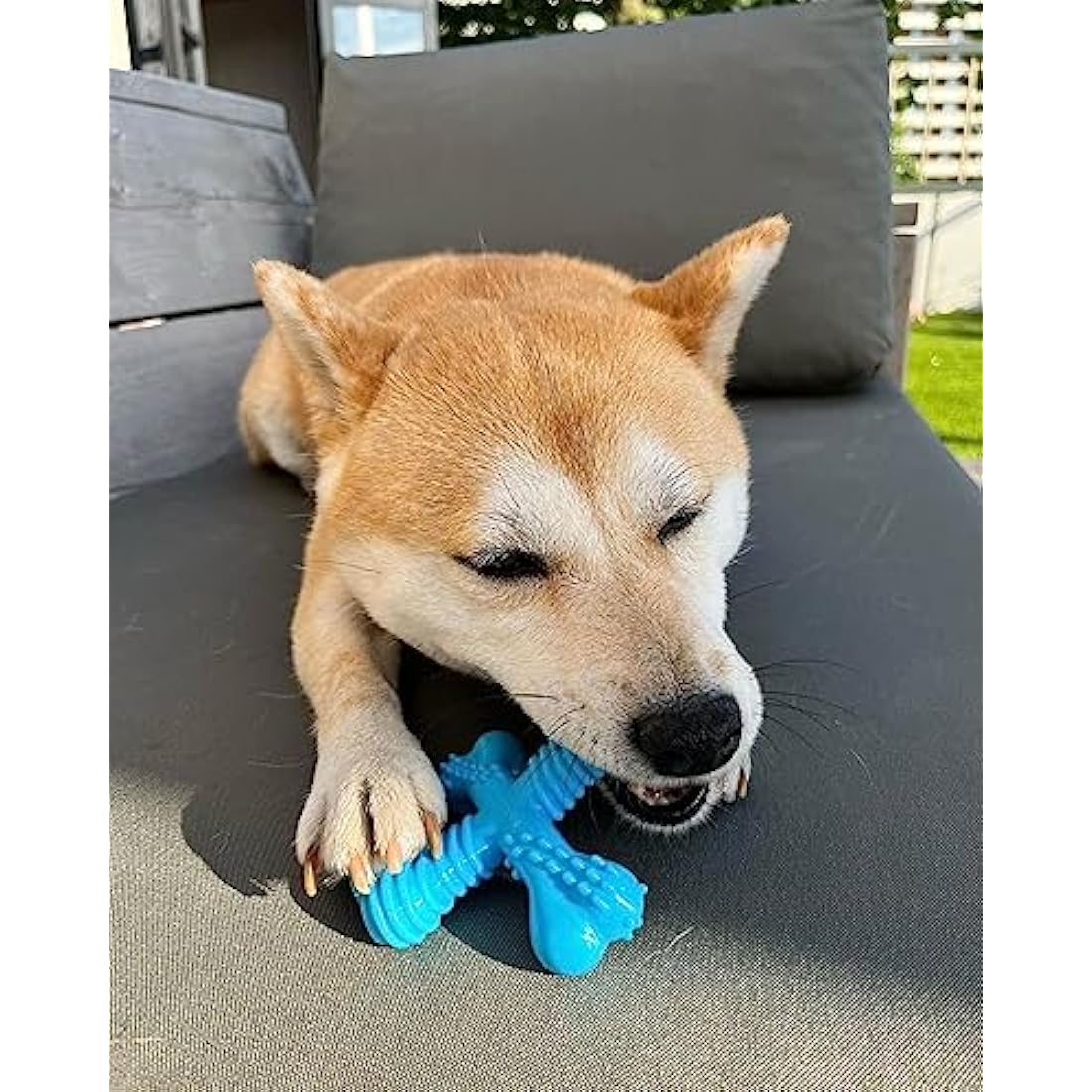 Nylabone Extreme Tough Dog Chew Toy X-Bone, Durable, Cleans Teeth, Beef Flavour, Small, for Dogs Up to 11 kg, for Large Breeds