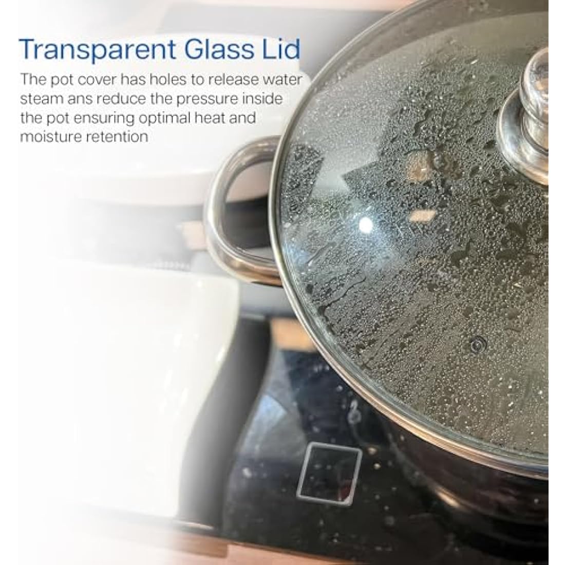 Cooking Pot Induction Stock Pot 9 litres Stainless Steel Deep Pots, Can Be Used as Stew, Soup Pot and Pasta Pot with Tempered Glass Lid