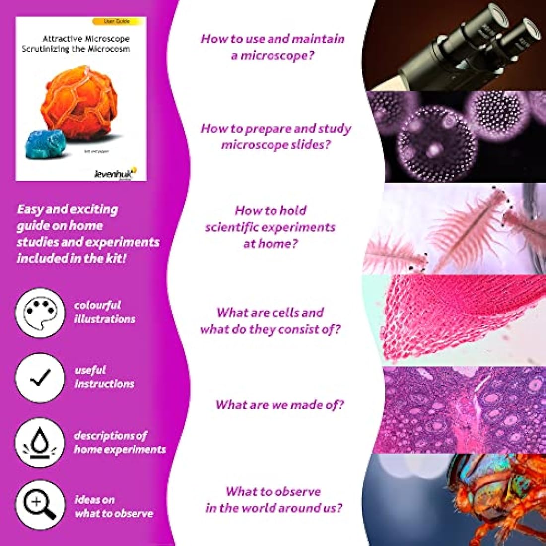 Levenhuk LabZZ M101 Amethyst 640x Portable Microscope Science Kit for Children with LED Light, Kids Beginner Educational STEM Toys Set, Prepared Sample Slides, and Illustarted Experiment Guide (EN)