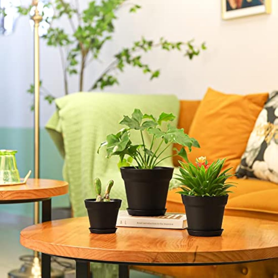 T4U Plastic Plant Pots 6-Pack, Flower Pot with Drainage Hole and Saucer, Classic Indoor Outdoor Plant Pots for Succulent, Snake Plant, Aloe Vera and All House Plants (16CM Opening Diameter, Black)