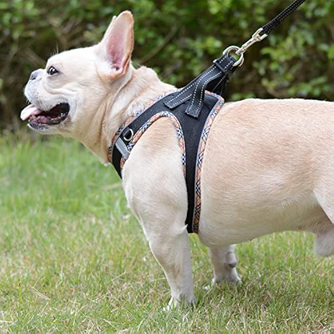 DORAMIO Step-in Dog Harness and Leash Set, Soft Mesh No-Chock Reflective Breathable Easy Walk Lightweight Vest Harnesses with Safety Buckle for Small Dogs, Cats, Puppies (Black Yellow, M)