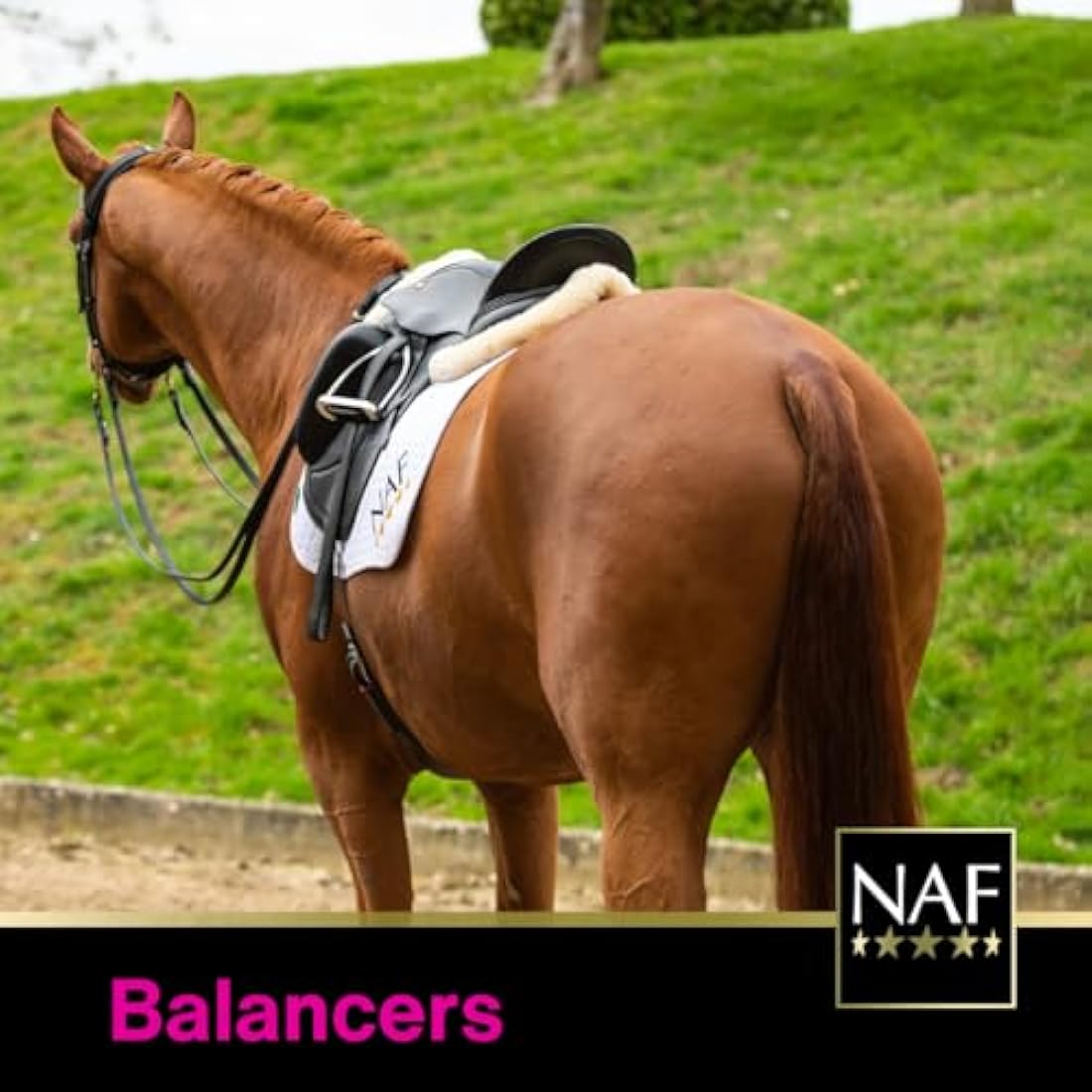 NAF Pink Powder 1.4kg – Nutritional Support for Horses – Prebiotic and Probiotic Supplement with Vitamins and Minerals – Promotes Digestive Health, Condition and Vitality