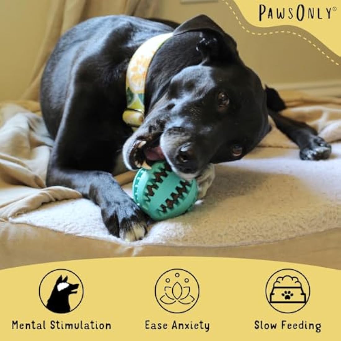 PawsOnly | Dog Treat Ball Dispenser | Interactive Toy for Boredom | Enrichment & Mental Stimulation | Safe Rubber Feeder | Puppy Challenging Activity (Small 6cm/2.35in, GREEN, 1 Pack)