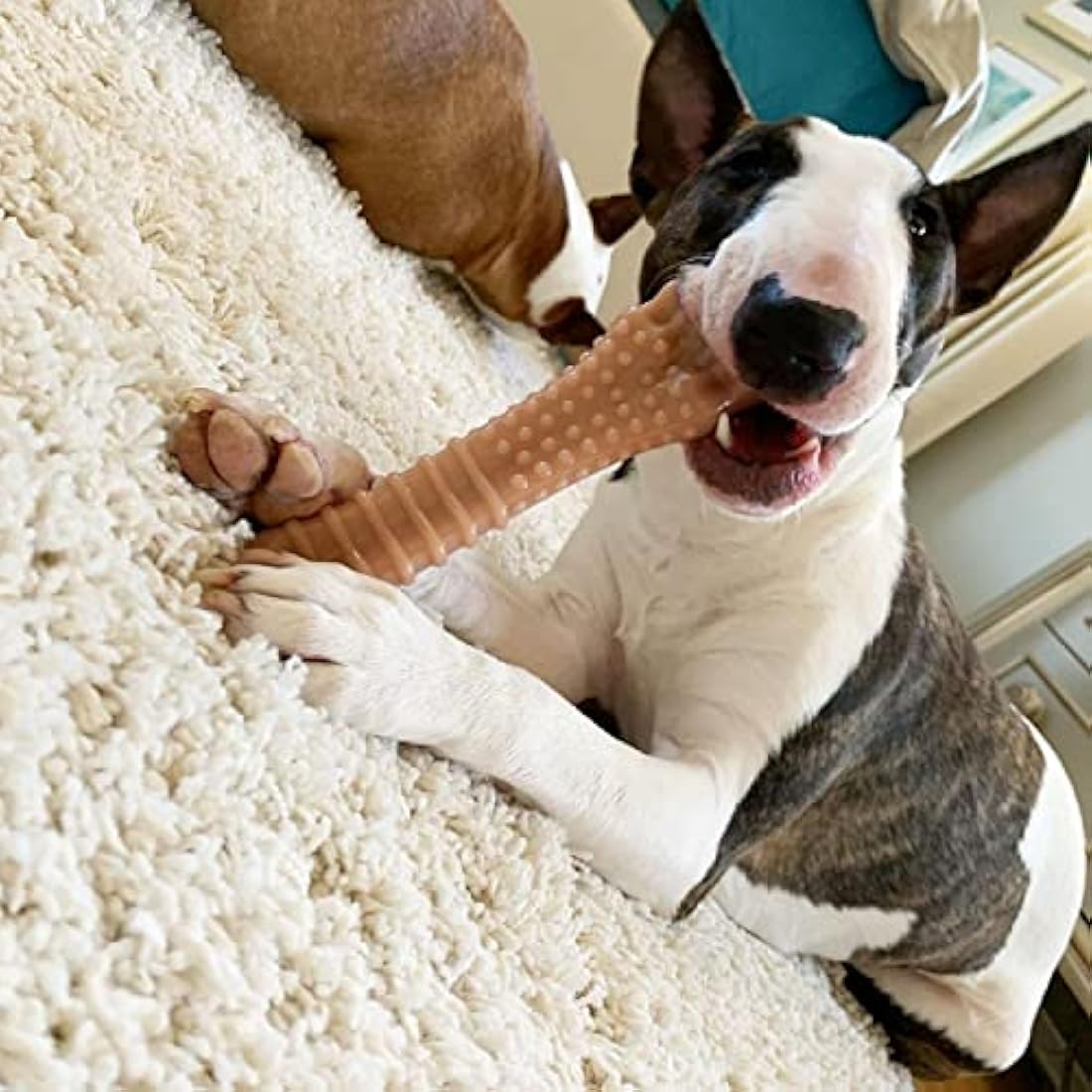 Nylabone Dura Chew Extreme Tough Dog Chew Toy Bone, Bacon Flavour, XL, for Dogs over 23 kg
