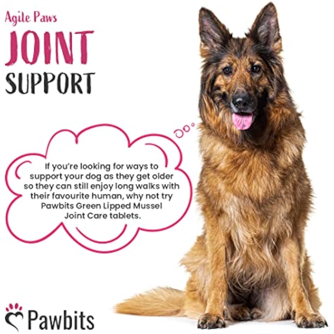 Pawbits 300 Adult Senior Dog Hip & Joint Supplements for Older Mature Dogs. High Strength Green Lipped Mussel Supplement for Elderly Dogs with Stiff Joints - Glucosamine, Vitamin C & E
