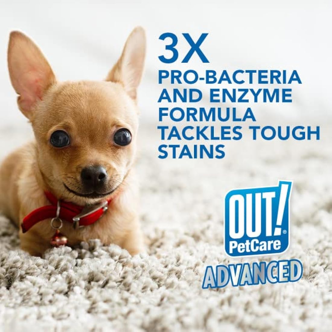 OUT! Super Strength Pet Stain and Odour Remover| Enzymatic Pro-Bacteria Cleaner 500 ml