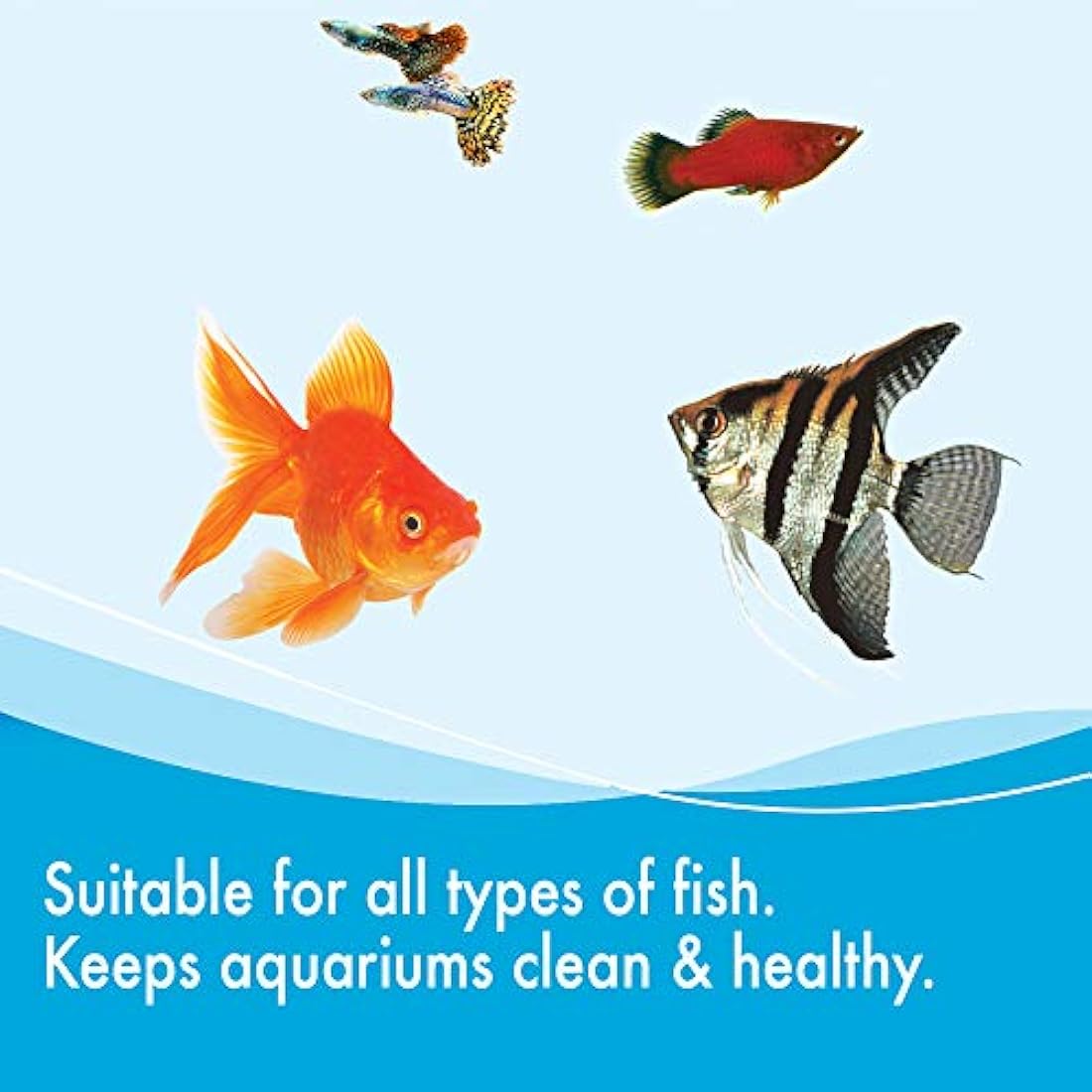 AQUARIAN Weekly Cleaner 473ml (Pack of 1)