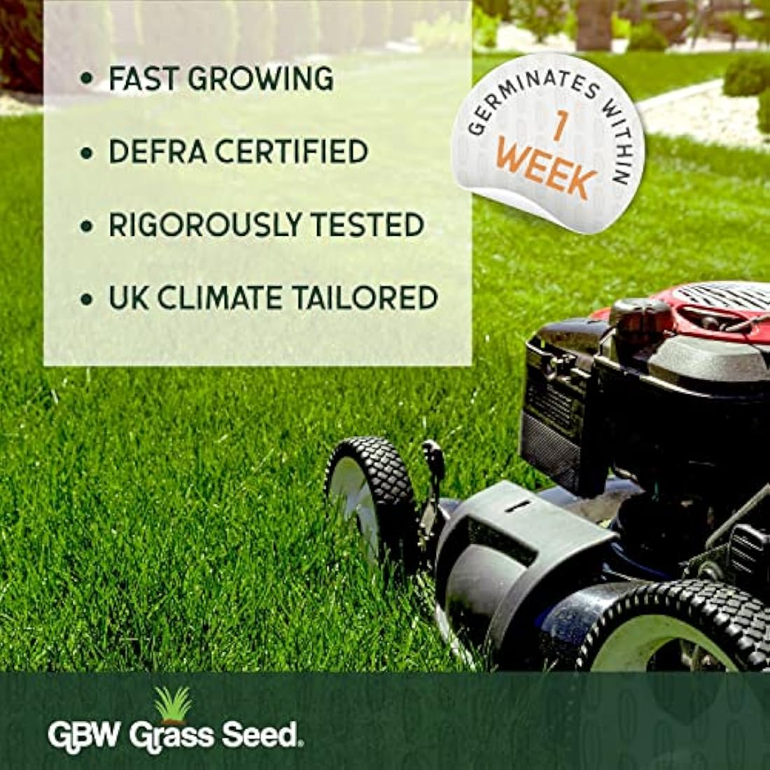 GBW Grass Seed 1kg - Covers up to 60 m2 (645 ft2) - Premium Quality Lawn Seed - Rapid Growth – Can Germinate as Quick as 10 days - Hard Wearing against Pet Urine - Tailored to UK Climate - 100% Refund