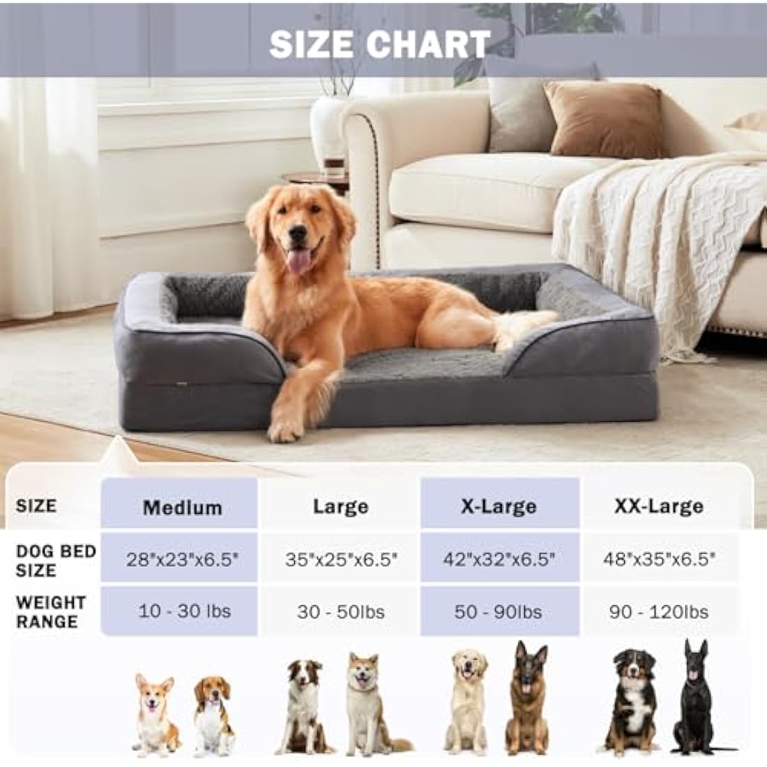 JOEJOY Medium Dog Bed, Orthopedic Memory Foam Dog Beds, Washable Pet Bed, Fits up to 30lbs, Good for Yorkshire, Chihuahua, Jack Russell Terrier, Bomei，Cat