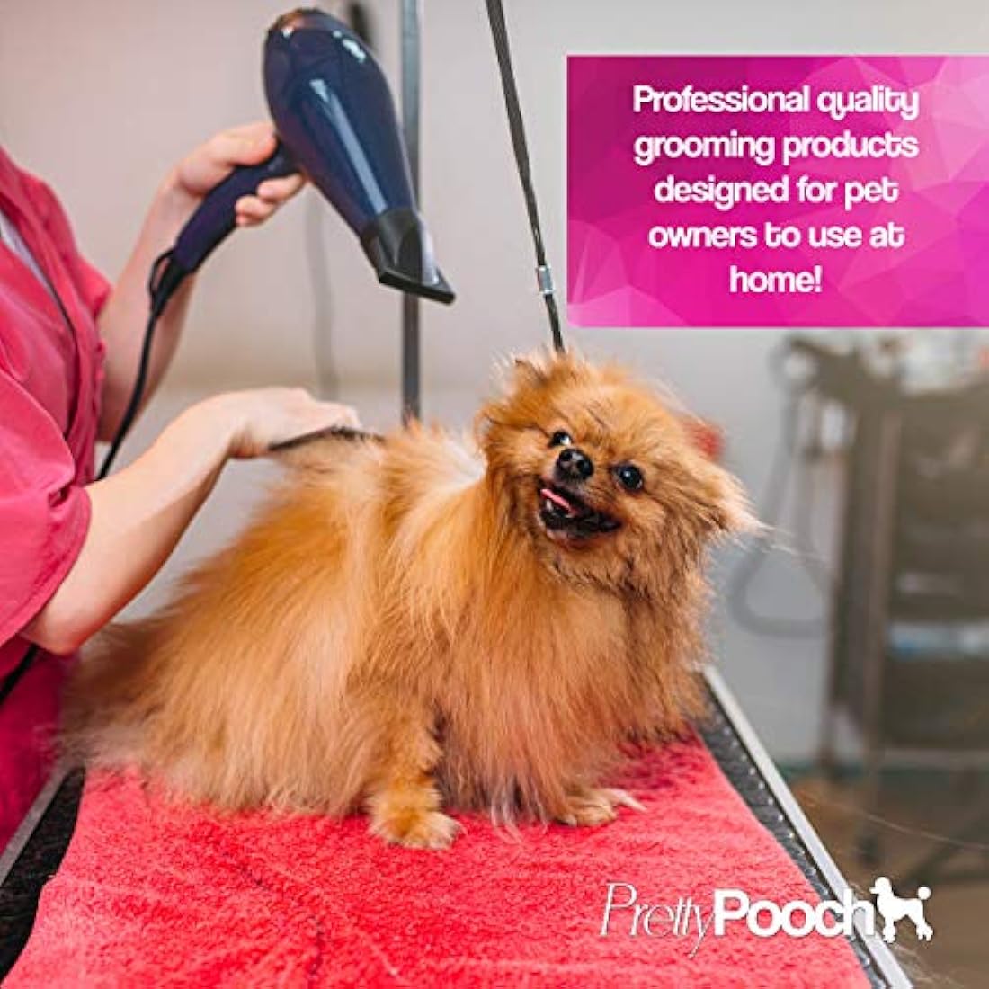 Pretty Pooch Gentle Touch Dog Shampoo & Conditioner (Baby Powder Fragrance) - A Non-itchy, Professional Deep Cleaning Shampoo for Dogs with Sensitive Skin! (5 Litre Baby Powder)