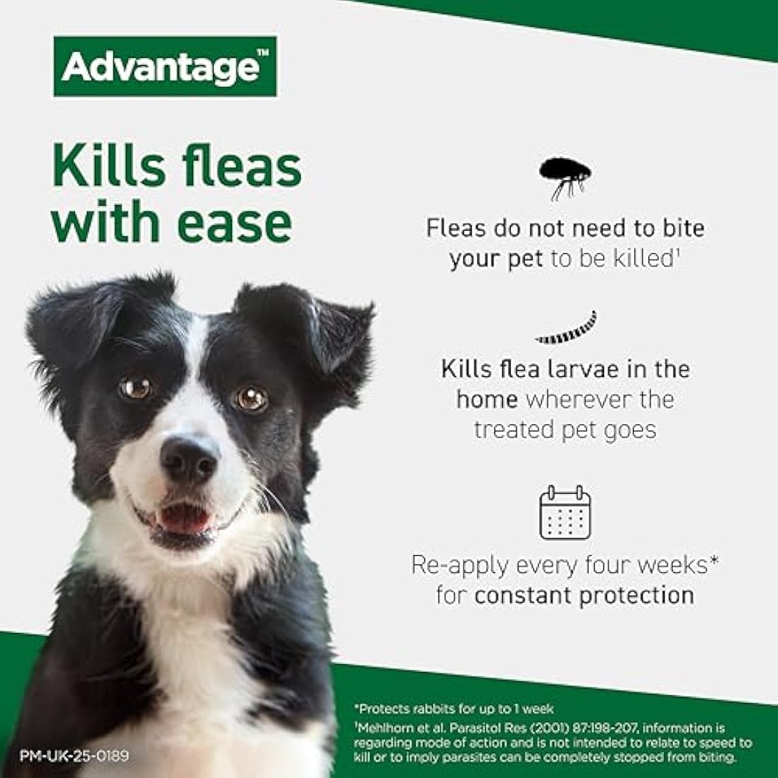 Advantage Spot On Flea Treatment For Large Cats and Rabbits Over 4kg (4 pipettes, 80mg), Kills Fleas Within 24 Hours, Prevents Further Infestation For Up To Four Weeks in Cats