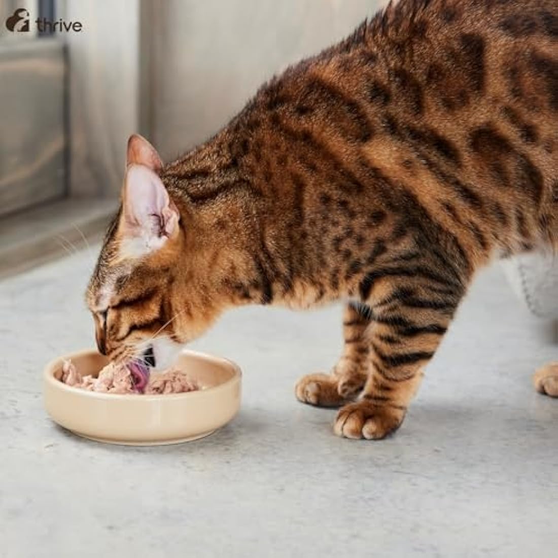 thrive Cat 100% COMPLETE - CHICKEN BREAST (pack of 12)