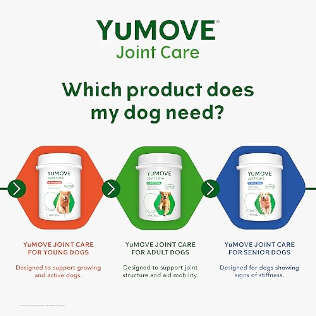YuMOVE Joint Supplement for Young and Active Dogs, Essential Dog Hip and Joint Support with Glucosamine, Chondroitin & Green Lipped Mussel, for Dogs Aged up to 5, 240 Tablets