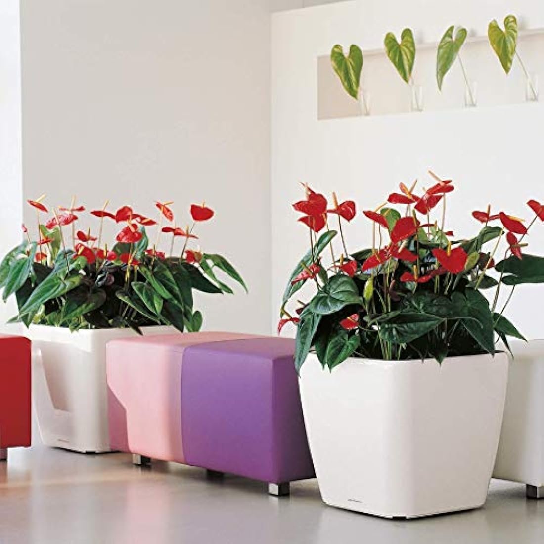Lechuza Self Watering Plant Pot QUADRO LS 50 Garden Flower Indoor and Outdoor Plastic Planter with Drainage Hole H47 L50 W50 cm White High-Gloss