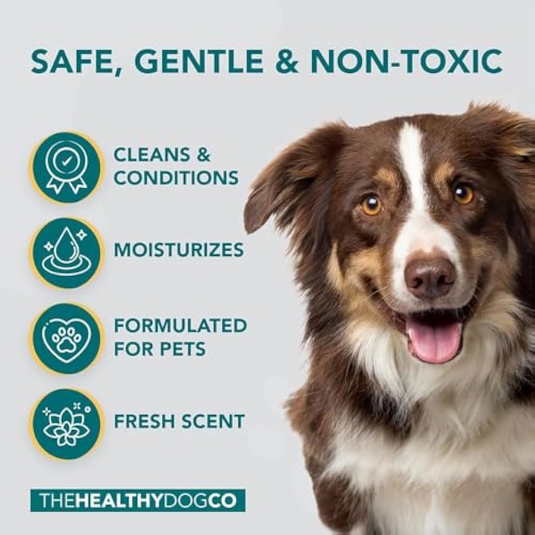 The Healthy Dog and Cat Co Natural Flea Spray 500ml – Fast-Acting, Non-Toxic Flea Spray for Dogs, Cats & Home – Safe & Effective UK Formula & Natural Treatment