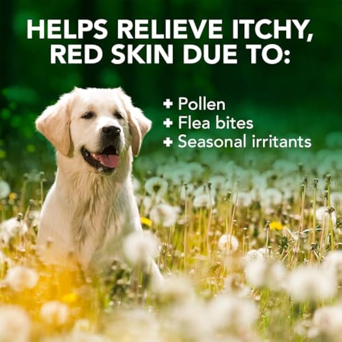 Vet's Best Allergy Itch Relief Dog Shampoo, Cleans and Relieves Discomfort from Seasonal Allergies, Gentle Formula 500ml