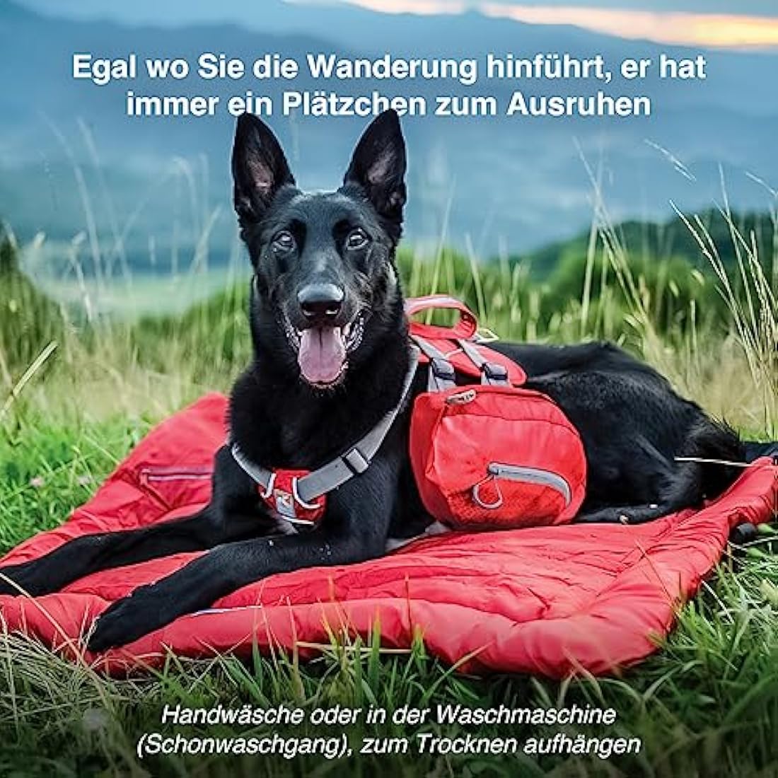 Kurgo Waterproof Dog Bed Wander Loft, Outdoor Portable Bed Roll for Pets, Travel, Hiking, Camping, Chili Red, Medium
