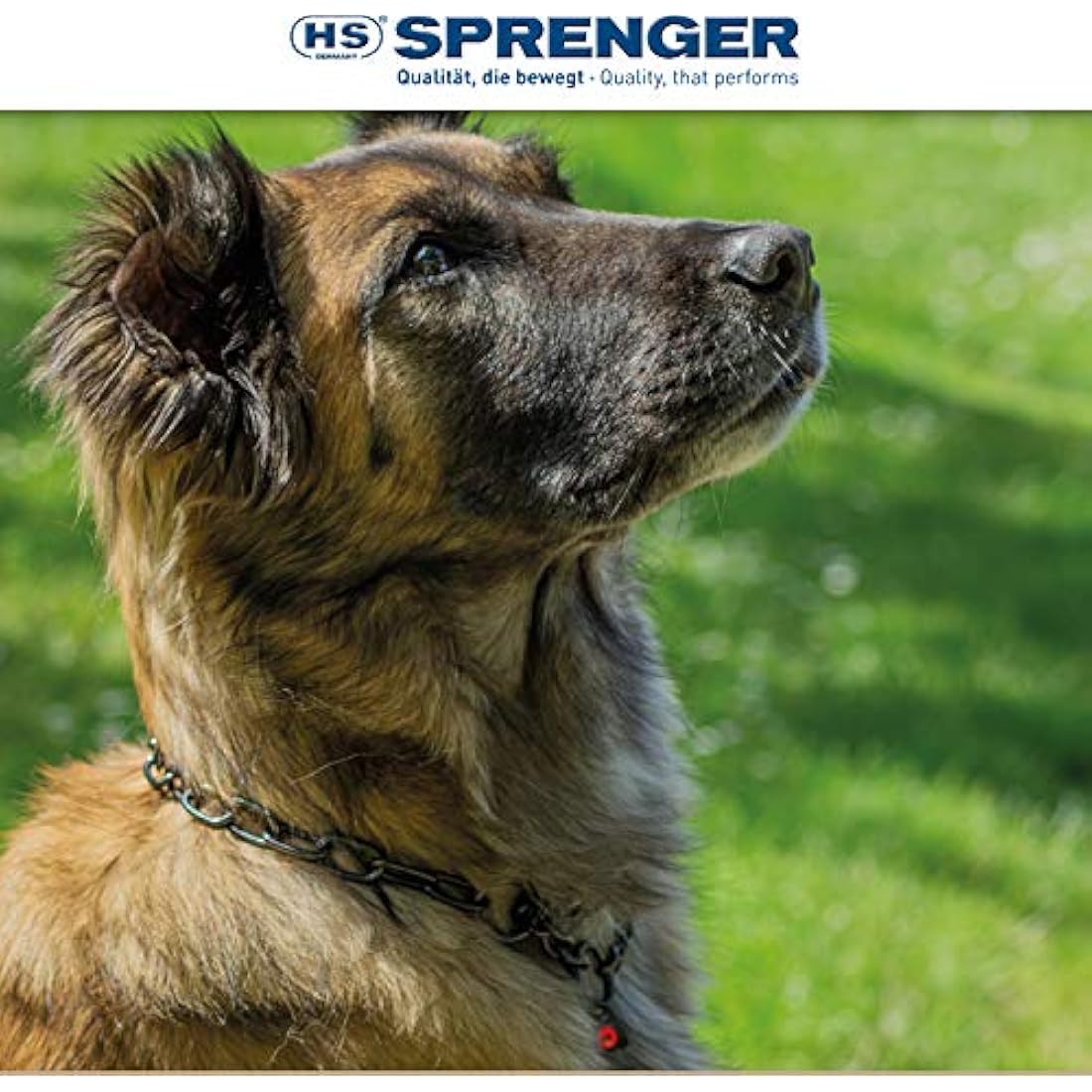 Sprenger Dog Necklace with Pull Chain 3 mm I Stainless Steel Dog Collar for Short and Long Hair Dog Breeds up to 55 kg 55 cm Black