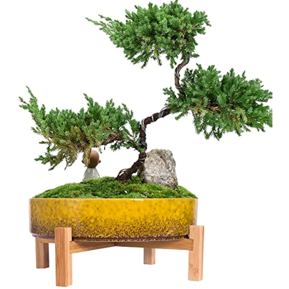 ARTKETTY Plant Pots - 29 CM Ceramic Bonsai Pot with Drainage, Large Succulent Plant Pot for Indoor Cactus Plant Garden Decorative Flower Pot with Stand