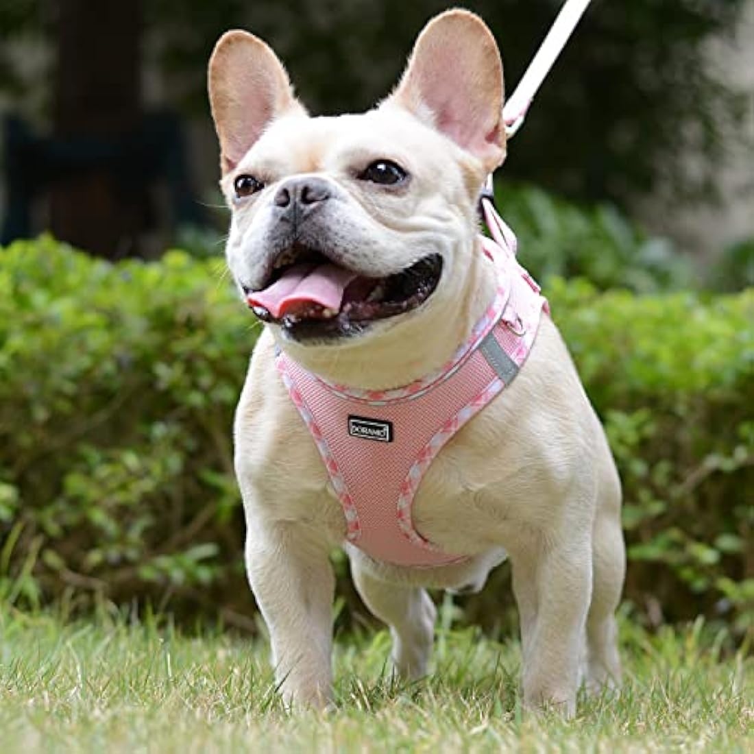 DORAMIO Step-in Dog Harness and Leash Set, Soft Mesh No-Chock Reflective Breathable Easy Walk Lightweight Vest Harnesses with Safety Buckle for Small Dogs, Cats, Puppies (Pink, XL)