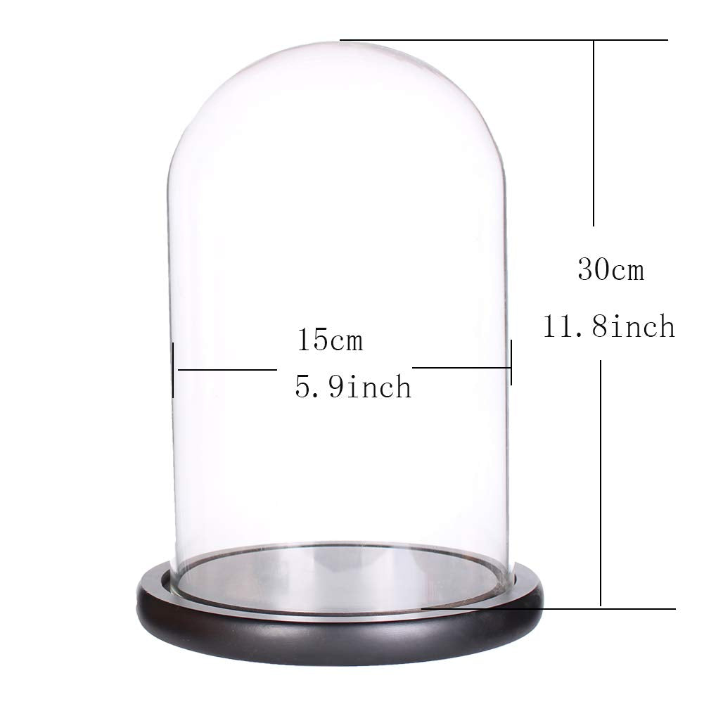 LegendTech Glass Display Dome Cloche with Black Wood Base (15 cmx30 cm)