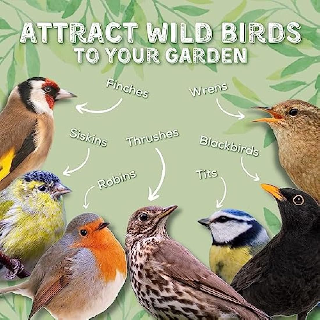 Copdock Mill Peanuts for Wild Birds - Peanut Kernels Bird Feed 12.75kg - High In Energy, Protein Rich Wild Bird Peanuts - Bird Seeds for Small Garden Birds