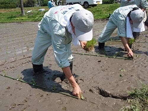 Toyama Koshihikari Japanese Rice 5kg
