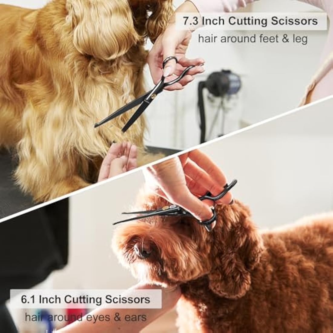 CIICII Dog Grooming Scissors Kit, 10-in-1 Professional Pet Grooming Scissors Set with Safety Round Tip (Dogs/Cat Hair Cutting Trimming Thinning Shears with Curved Scissor) for DIY Home Salon (Black)